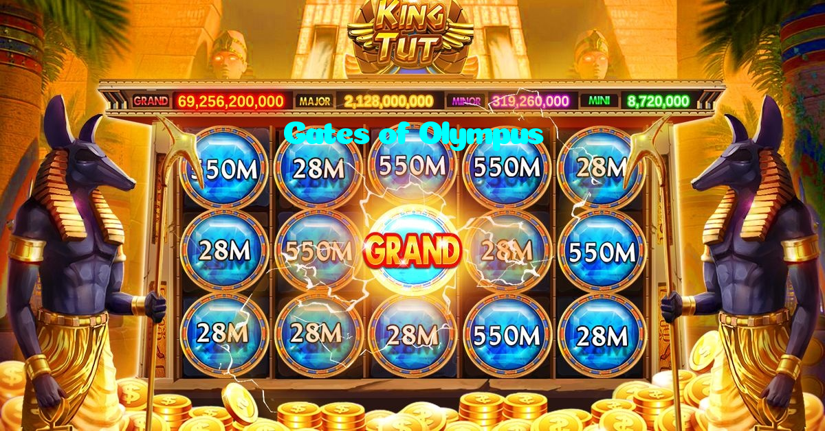 available types of Gates of Olympus bet including pre-match live express and system bets